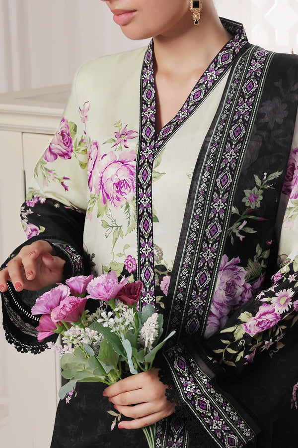 Daman Mid Summer D-2020