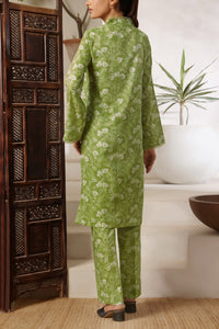 Aiza Momina Coords D-8152