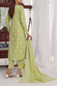 Dilkash Wrinkle Free D-1493-A