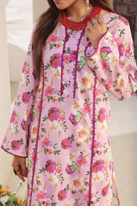 Aiza Momina Coords D-8159