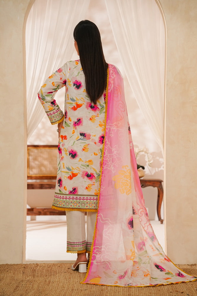 NAYAB Bana Dora D-341