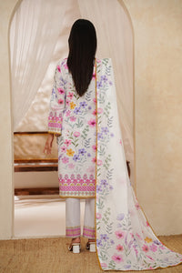 NAYAB Bana Dora D-347