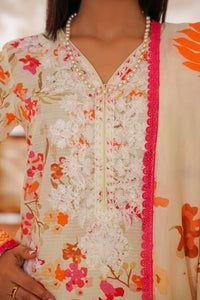 NAYAB Bana Dora D-348