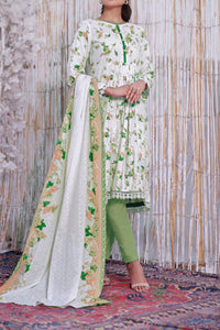 Dilkash Wrinkle Free Coll D-1013-B