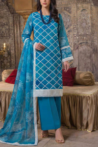 Eshaal Chikankari D-540