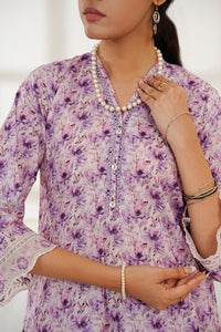 Aizal Emb Coords D-555