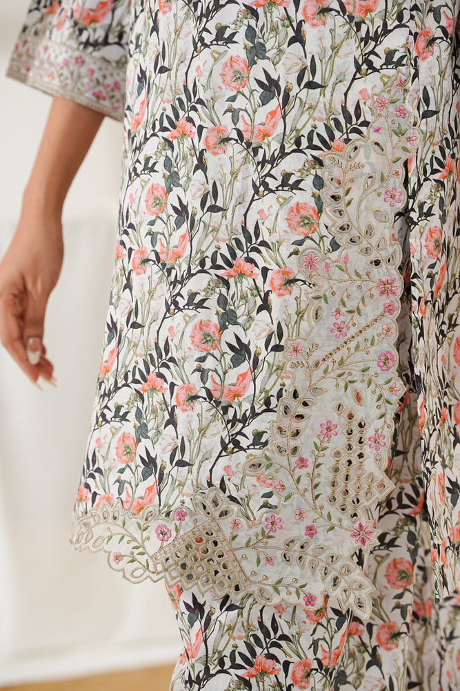 Aizal Emb Coords D-556