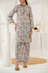 Aizal Emb Coords D-556