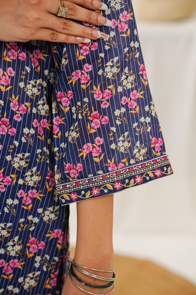 Aizal Emb Coords D-562