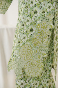 Aizal Emb Coords D-563