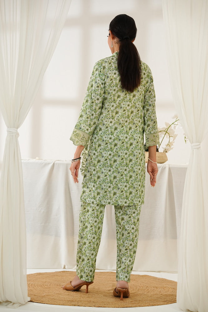 Aizal Emb Coords D-563