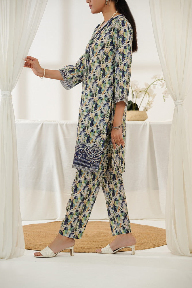 Aizal Emb Coords D-564