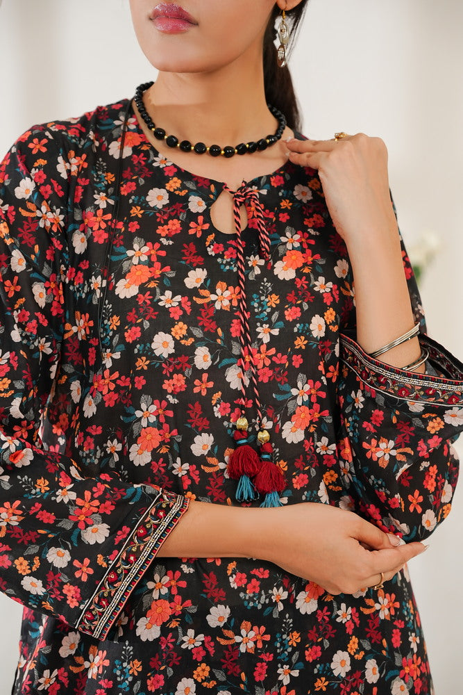 Aizal Emb Coords D-566