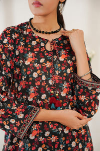 Aizal Emb Coords D-566