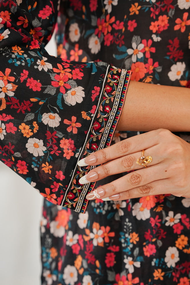 Aizal Emb Coords D-566