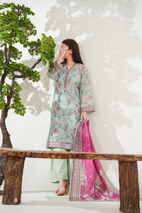 Misri Lawn D-747