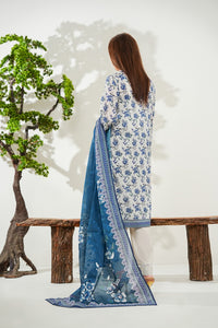 Misri Lawn D-762