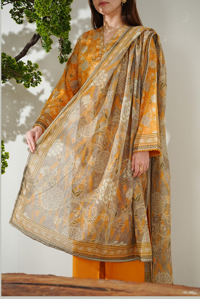 Misri Lawn D-763