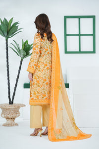 Misri Lawn D-773
