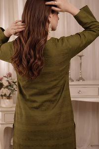Ainaz Velvet Winter D-819