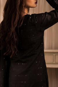 Ainaz Velvet Winter D-824