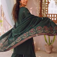 Areena Embroidered Winter D-826