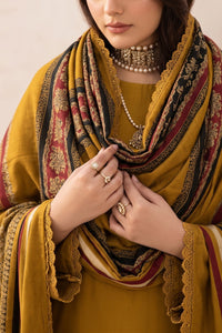 Resham Unstitch Dyed Winter D-832