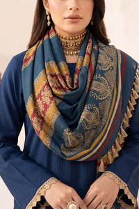 Resham Unstitch Dyed Winter D-836