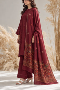 Resham Unstitch Dyed Winter D-853