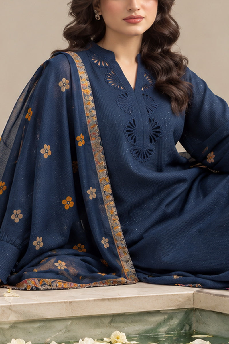 Resham Unstitch Dyed Winter D-855