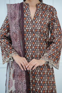 Aiza Momina Emb D-68