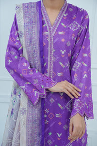 Aiza Momina Emb D-65