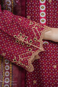 Aiza Momina Emb D-66