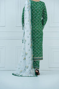 Aiza Momina Emb D-67