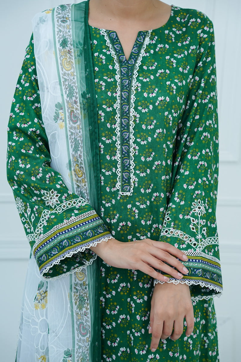 Aiza Momina Emb D-67