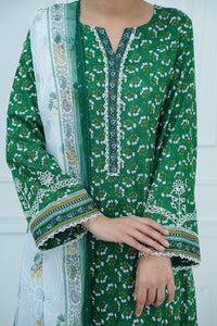 Aiza Momina Emb D-67