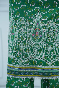 Aiza Momina Emb D-67