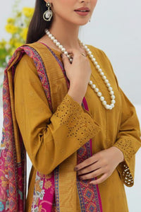 Anarkali Emb D-472