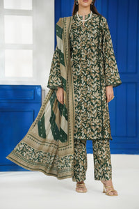 Daman Mid Summer D-2031