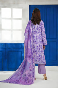 Daman Mid Summer D-2008