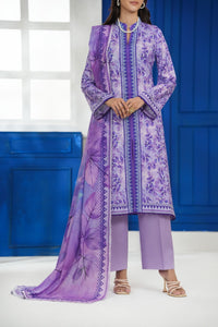 Daman Mid Summer D-2008