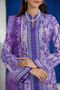 Daman Mid Summer D-2008