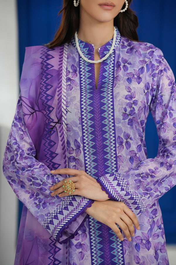 Daman Mid Summer D-2008