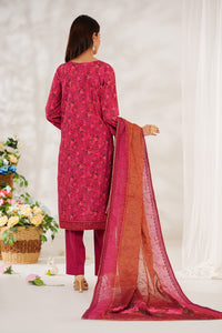 Zynah Chikankari D-685