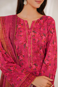 Zynah Chikankari D-685