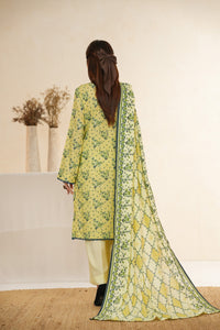 Dilkash Wrinkle Free D-1575-C