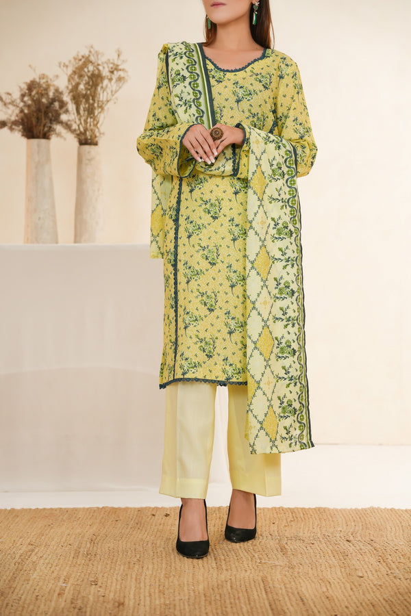 Dilkash Wrinkle Free D-1575-C