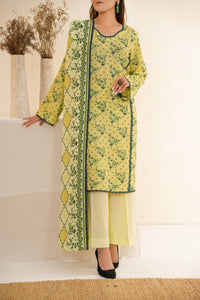 Dilkash Wrinkle Free D-1575-C