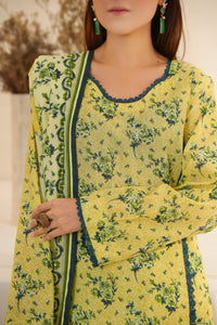 Dilkash Wrinkle Free D-1575-C