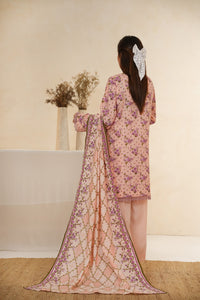 Dilkash Wrinkle Free D-1575-B